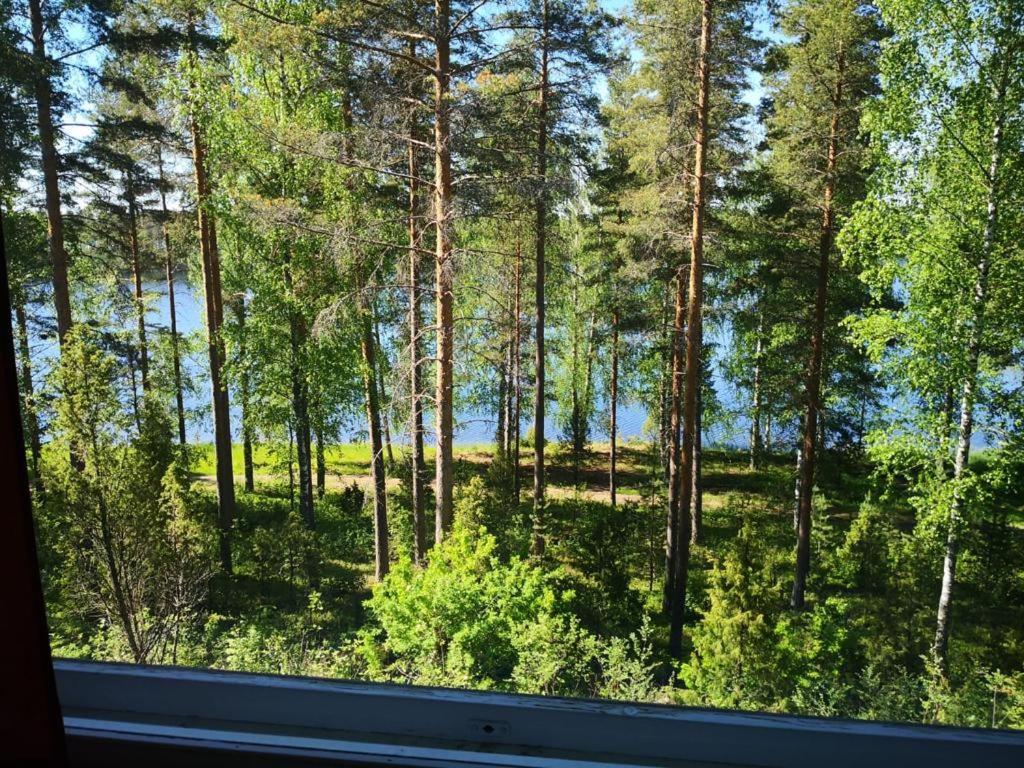 Saimaa Lakeland Fisherman'S Village 萨翁林纳 外观 照片