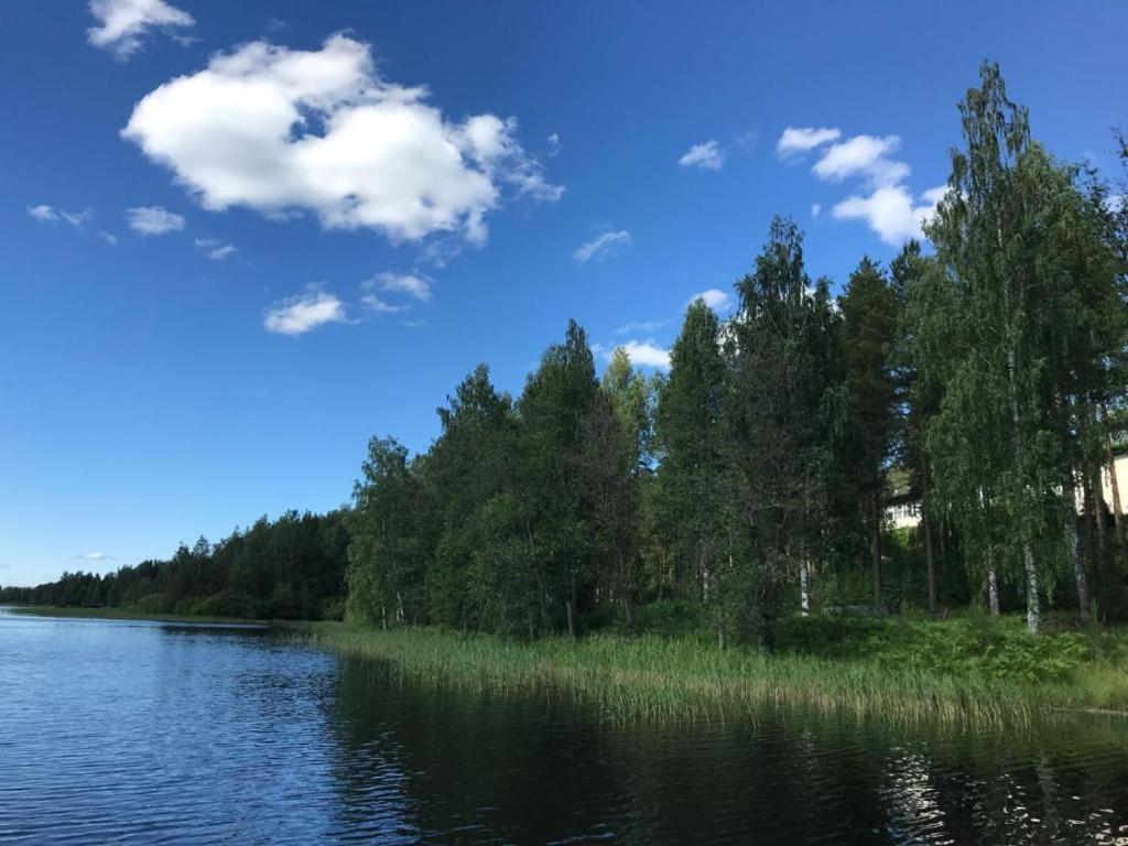 Saimaa Lakeland Fisherman'S Village 萨翁林纳 外观 照片